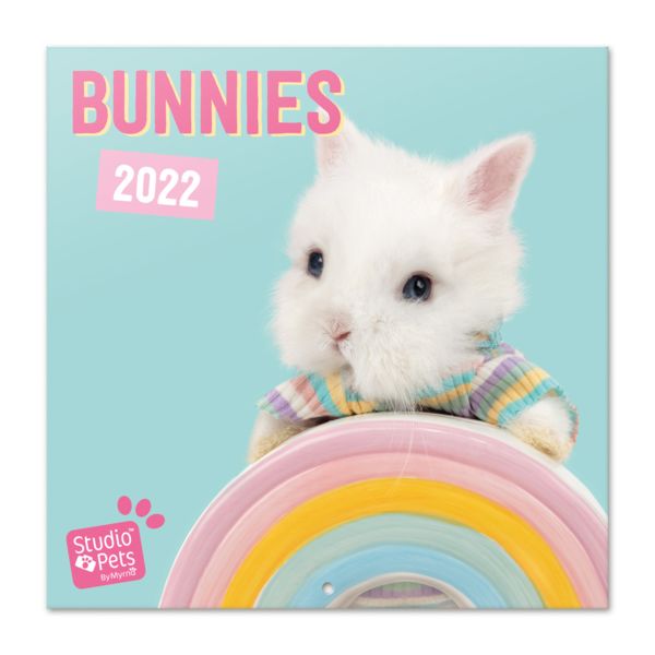 2022 Pets Bunnies Calendar