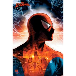 Protector of the City Spiderman Poster Marvel Comics 91,5 x 65 cms
