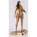 DC Comics Estatua Wonderwoman 26 cm